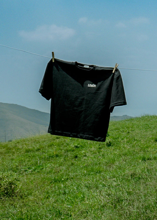 “Au Parc” — Camiseta Boxy Fit Negra By Limón